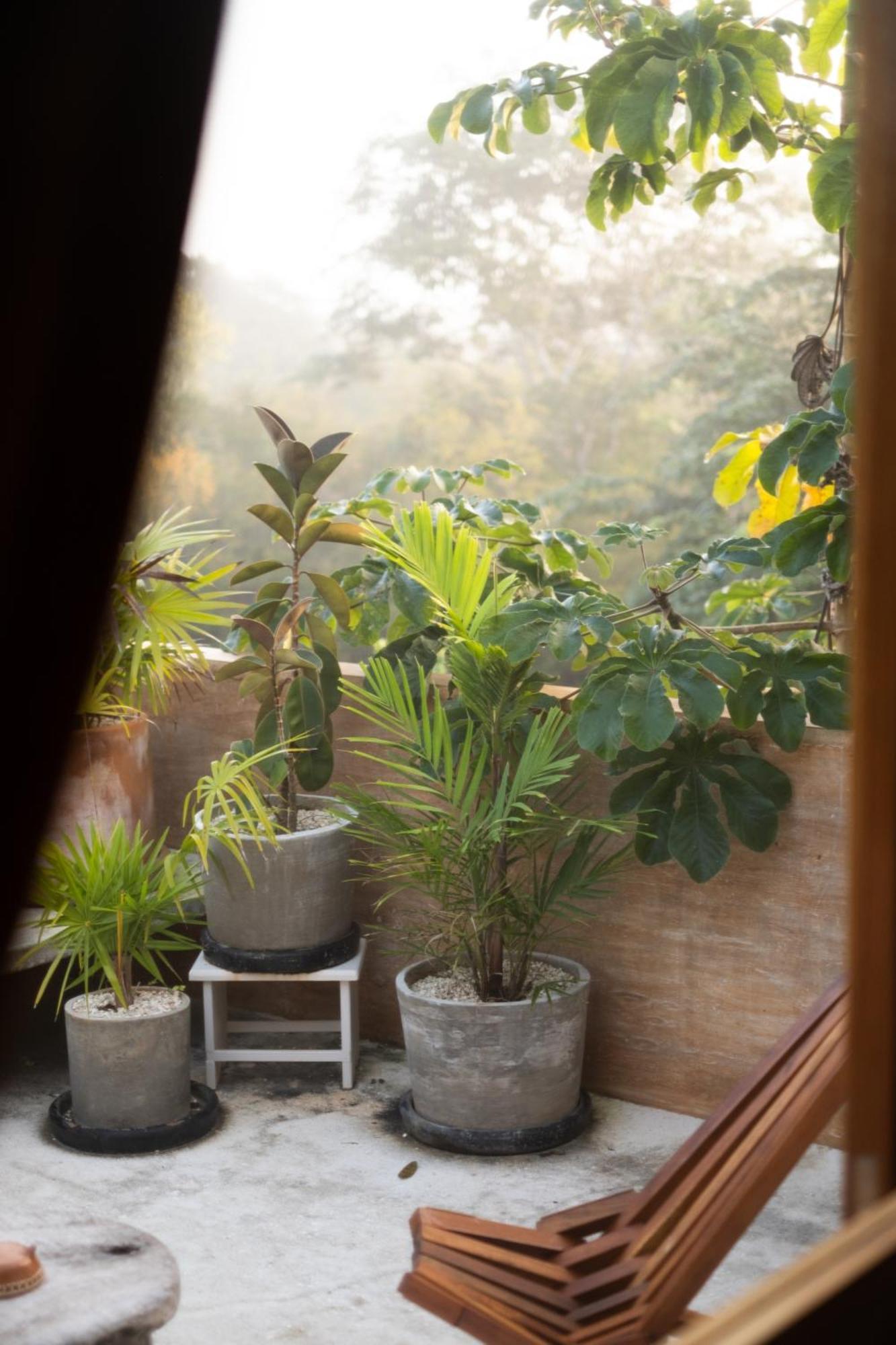 Galopina Bed & Breakfast Seye Bagian luar foto